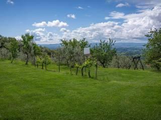 Rustico via Raffaello Sanzio, Loro Ciuffenna — foto 28 di 53