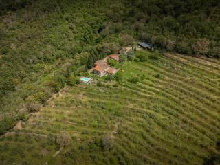 Rustico via Raffaello Sanzio, Loro Ciuffenna — foto 17 di 53