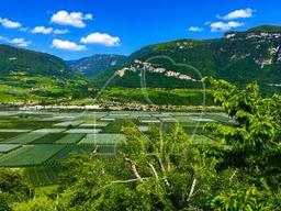 Terratetto unifamiliare 390 m², da ristrutturare, Termeno sulla Strada del Vino