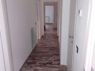Stanza doppia via Giuseppe Verdi 48, Medesano — foto 4 di 6