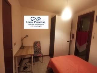 Stanza in affitto in appartamento via Roma 26, Colorno