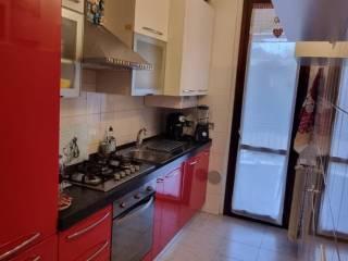 Stanza in affitto in appartamento via Roma 26, Colorno — foto 6 di 15