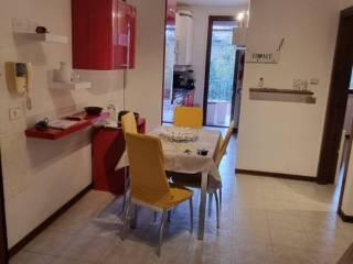 Stanza in affitto in appartamento via Roma 26, Colorno — foto 3 di 15