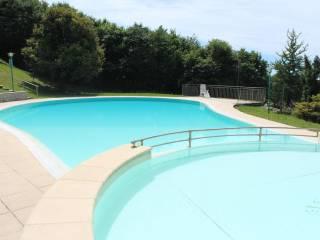 Villa unifamiliare Villaggio Villa Gabbiano, Cràbbia, Pettenasco — foto 11 di 18