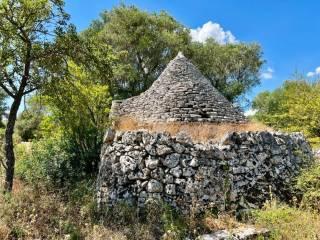 Casa colonica Contrada Angelo di Maglie, Ceglie Messapica — foto 20 di 22