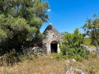 Casa colonica Contrada Angelo di Maglie, Ceglie Messapica — foto 11 di 22