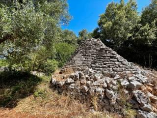 Casa colonica Contrada Angelo di Maglie, Ceglie Messapica — foto 18 di 22