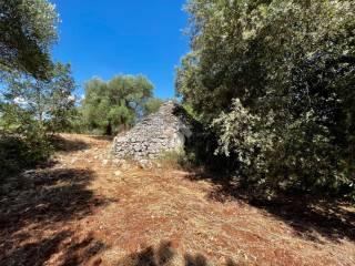 Casa colonica Contrada Angelo di Maglie, Ceglie Messapica — foto 3 di 22