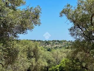 Casa colonica Contrada Angelo di Maglie, Ceglie Messapica — foto 13 di 22