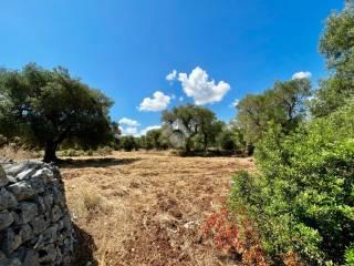 Casa colonica Contrada Angelo di Maglie, Ceglie Messapica — foto 16 di 22