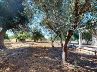 Villa unifamiliare Contrada Monte Ciminiello, Francavilla Fontana — foto 3 di 33