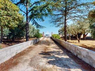 Villa unifamiliare Contrada Monte Ciminiello, Francavilla Fontana — foto 25 di 33