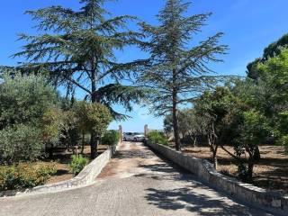 Villa unifamiliare Contrada Monte Ciminiello, Francavilla Fontana — foto 11 di 33