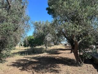 Villa unifamiliare Contrada Monte Ciminiello, Francavilla Fontana — foto 2 di 33