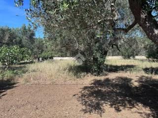 Villa unifamiliare Contrada Monte Ciminiello, Francavilla Fontana — foto 27 di 33