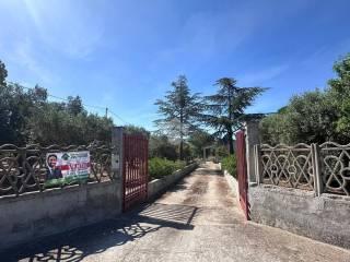 Villa unifamiliare Contrada Monte Ciminiello, Francavilla Fontana — foto 30 di 33