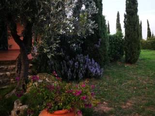 Villa unifamiliare via della Grotta 43, Porto Santo Stefano, Monte Argentario
