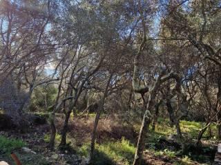 Rustico via Roma 53, Lerici Paese, Lerici — foto 11 di 12