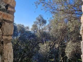 Rustico via Roma 53, Lerici Paese, Lerici — foto 7 di 12