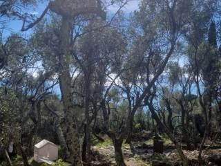 Rustico via Roma 53, Lerici Paese, Lerici — foto 4 di 12