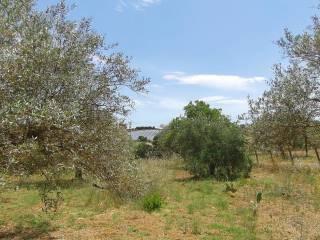 Villa unifamiliare Contrada Fegoto, Piazza Armerina — foto 11 di 19