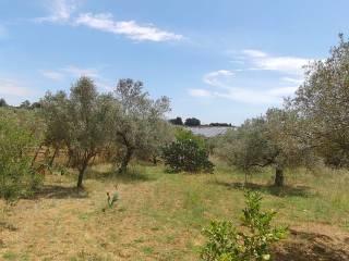 Villa unifamiliare Contrada Fegoto, Piazza Armerina — foto 12 di 19