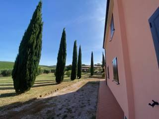Casale Strada Provinciale San Donato, Orbetello — foto 11 di 17