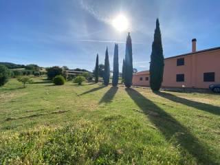 Casale Strada Provinciale San Donato, Orbetello — foto 4 di 17