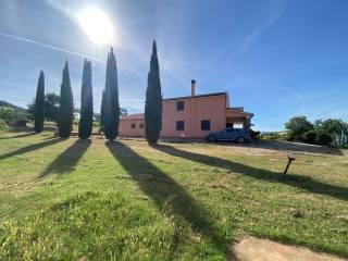 Casale Strada Provinciale San Donato, Orbetello — foto 8 di 17