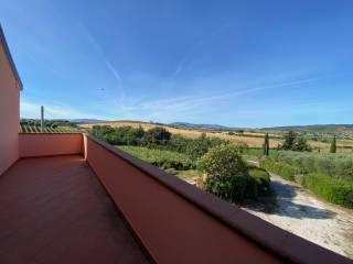 Casale Strada Provinciale San Donato, Orbetello — foto 6 di 17