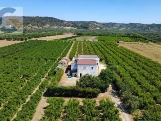 Villa unifamiliare, da ristrutturare, 450 m², Montescaglioso — foto 14 di 35