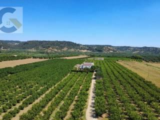 Villa unifamiliare, da ristrutturare, 450 m², Montescaglioso — foto 6 di 35