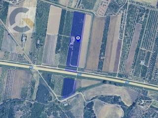 Villa unifamiliare, da ristrutturare, 450 m², Montescaglioso — foto 33 di 35