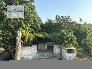 Villa unifamiliare, da ristrutturare, 450 m², Montescaglioso — foto 32 di 35