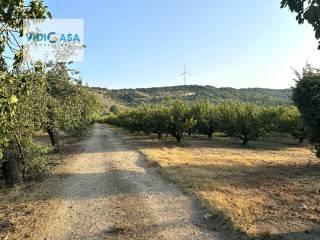 Villa unifamiliare, da ristrutturare, 450 m², Montescaglioso — foto 28 di 35