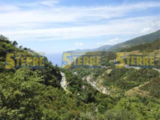 Rustico Strada Provinciale delle Cinque Terre, Riomaggiore — foto 35 di 45