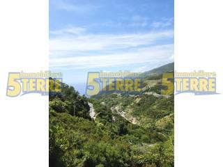 Rustico Strada Provinciale delle Cinque Terre, Riomaggiore — foto 26 di 45