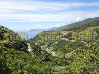 Rustico Strada Provinciale delle Cinque Terre, Riomaggiore — foto 18 di 45