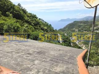 Rustico Strada Provinciale delle Cinque Terre, Riomaggiore — foto 31 di 45