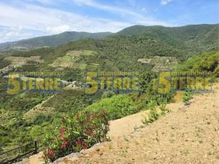 Rustico Strada Provinciale delle Cinque Terre, Riomaggiore — foto 36 di 45