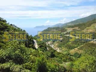 Rustico Strada Provinciale delle Cinque Terre, Riomaggiore — foto 45 di 45