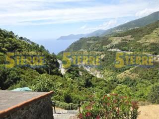 Rustico Strada Provinciale delle Cinque Terre, Riomaggiore — foto 25 di 45