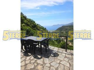 Rustico Strada Provinciale delle Cinque Terre, Riomaggiore — foto 42 di 45