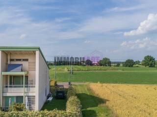 Villa a schiera via Francesca 9, Albinea — foto 51 di 52