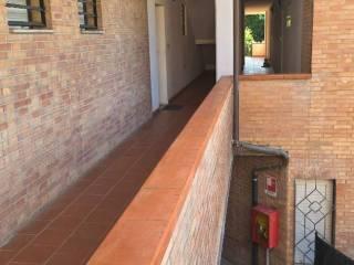Trilocale via Giovanni XXIII 20, Belverde, Monteriggioni — foto 18 di 19