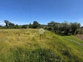 Terratetto unifamiliare via terni 32, Orte — foto 14 di 30