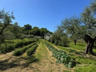 Terratetto unifamiliare via terni 32, Orte — foto 26 di 30