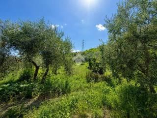 Terratetto unifamiliare via terni 32, Orte