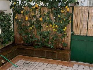 Terratetto unifamiliare via Antonio Fratti, Marco Polo - Don Bosco, Viareggio — foto 11 di 19