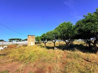 Casale Strada Provinciale Fondi Sperlonga, Sperlonga — foto 18 di 32